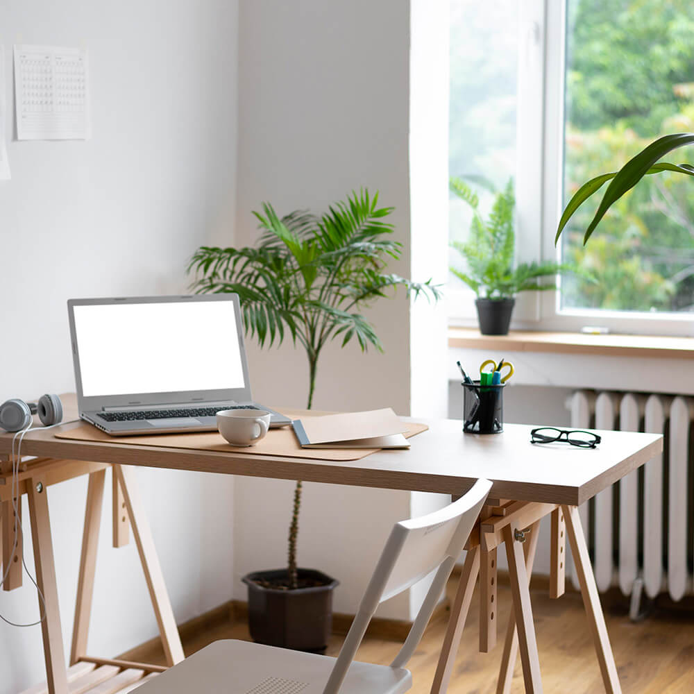 Shopify Theme Development